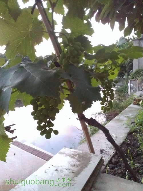 WP_001144.jpg