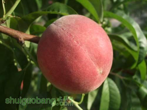 2013��6��3����Ե��� 002.jpg