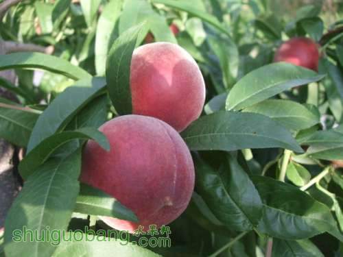 2013��6��3����Ե��� 007.jpg