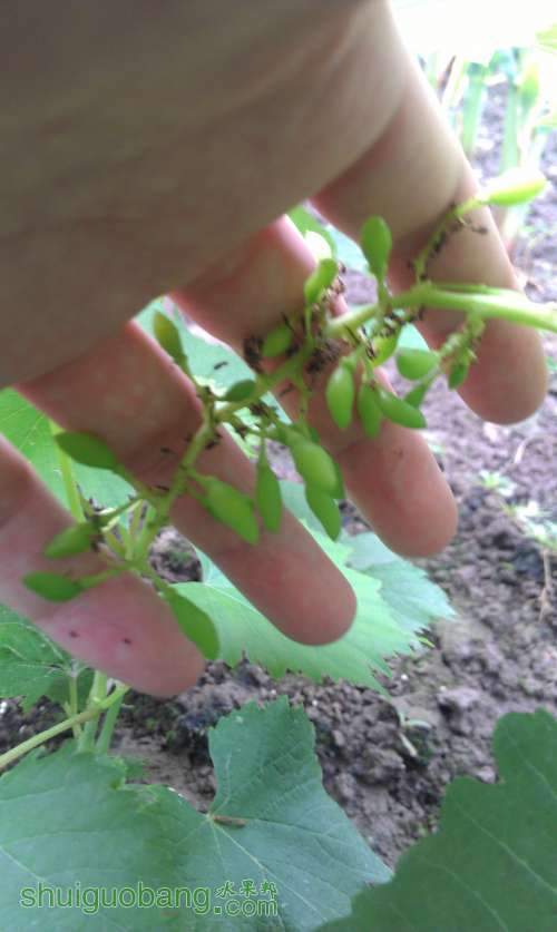 IMAG0555.jpg