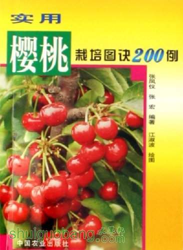 51zRqc5MP2L._SL500_.jpg