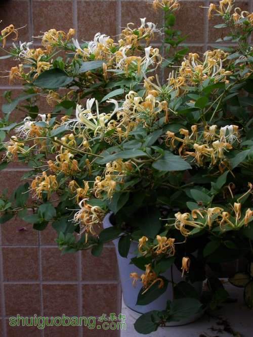 DSCN4239.jpg