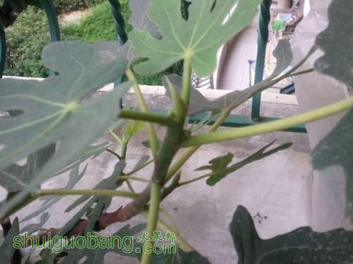 2013-06-06 08.32.21.jpg