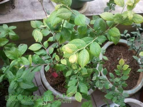 2013-06-06 08.31.30.jpg