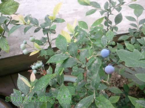 2013-06-06 08.31.55.jpg