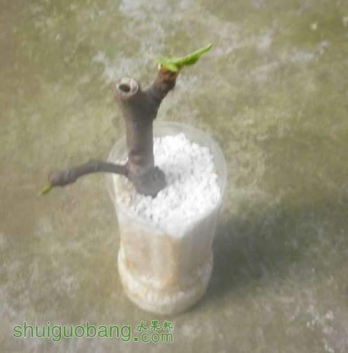 01.jpg