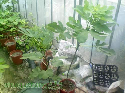 DSC00001.JPG