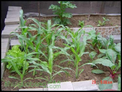 dsc00445[1].jpg