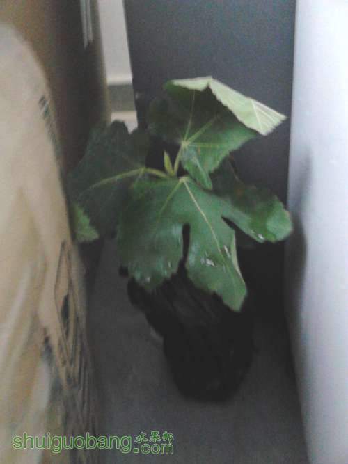 IMG_20130608_170658.jpg