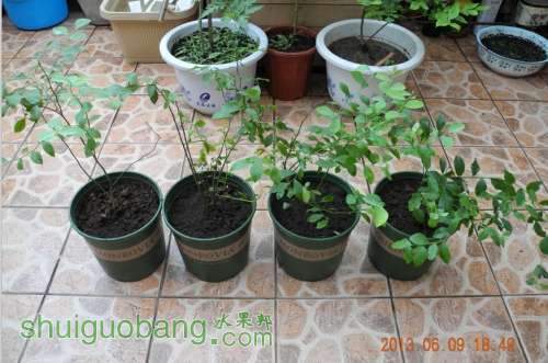 QQͼƬ20130609193834.jpg