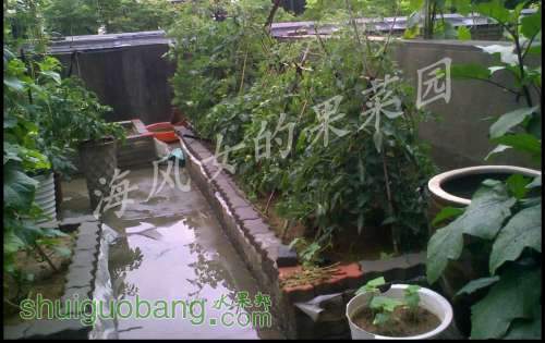 20120718115.jpg