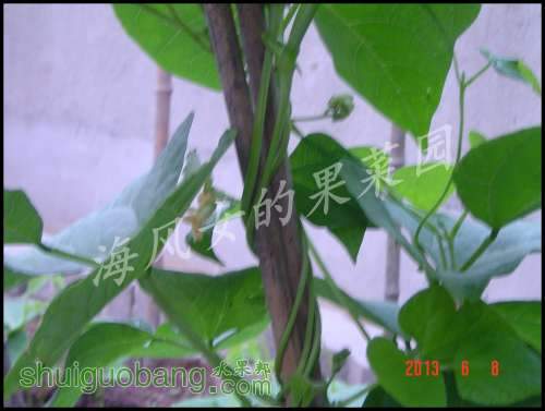 dsc00606.jpg