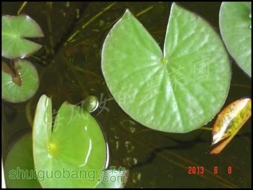 dsc00674.jpg