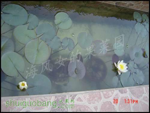 dsc00380.jpg