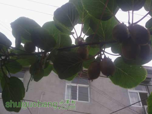 IMG_20130610_154848.jpg