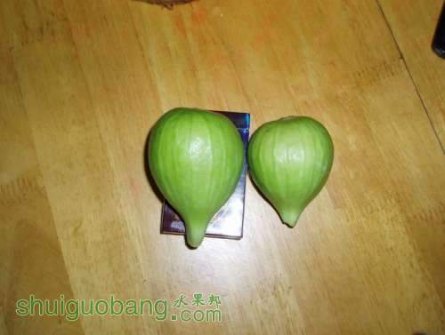 �ش���Ƥ����3.JPG