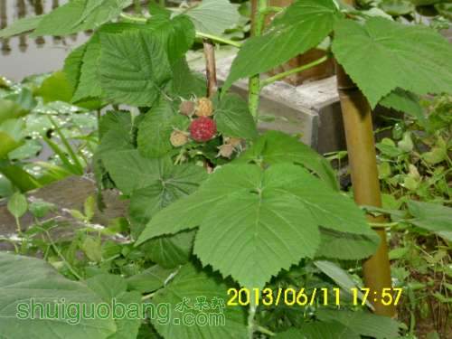 IMG_1455.JPG