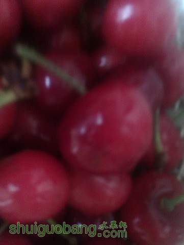 IMAG0790.jpg