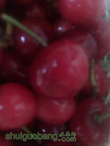 IMAG0791.jpg