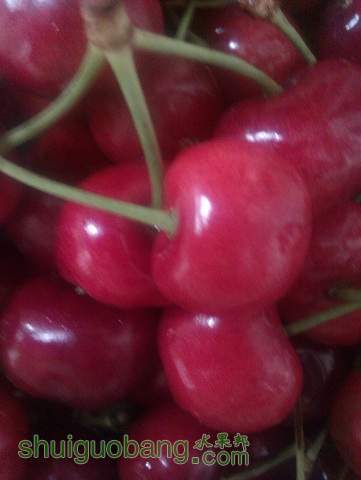 IMAG0794.jpg