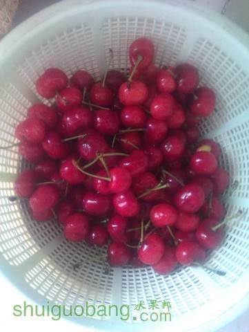 IMAG0795.jpg