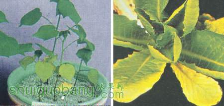 201203271332812642171ȱ2.jpg