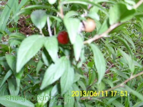 IMG_1443.JPG