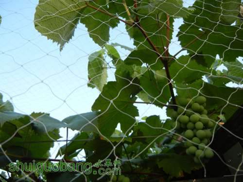 DSCN0277__.jpg