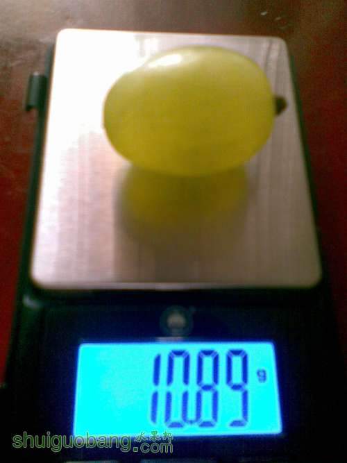 ͼ��153.jpg