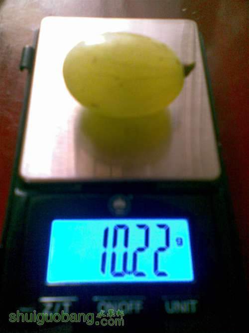 ͼ��286.jpg