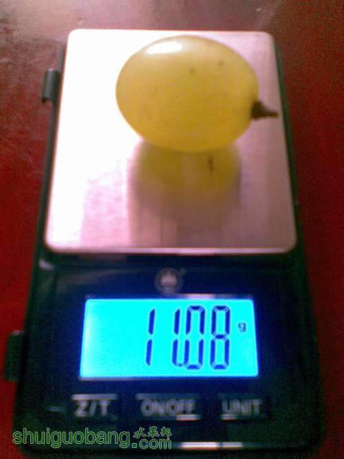 ͼ��817.jpg