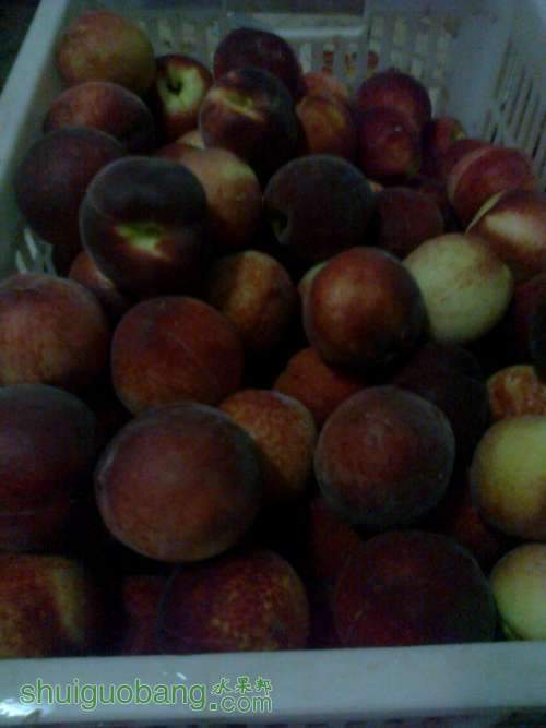 ��Ƭ0199.jpg