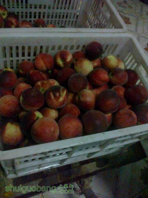 ��Ƭ0201.jpg