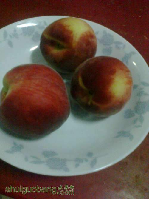 ��Ƭ0203.jpg