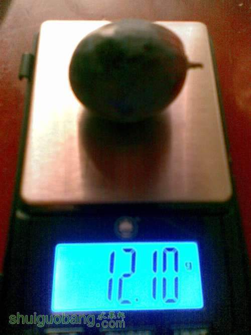 ͼ��877.jpg