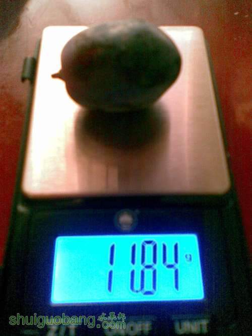 ͼ��878.jpg