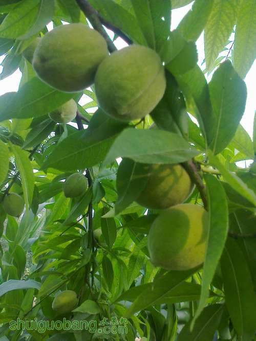 ��Ƭ0214.jpg