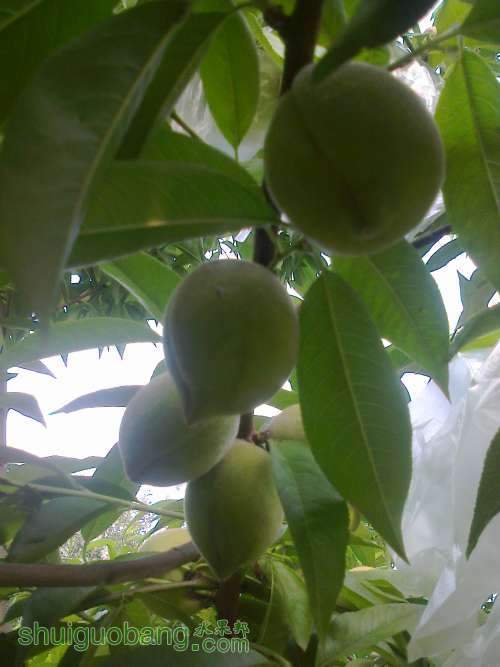 ��Ƭ0216.jpg