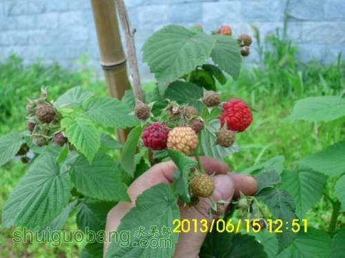 IMG_1508.JPG