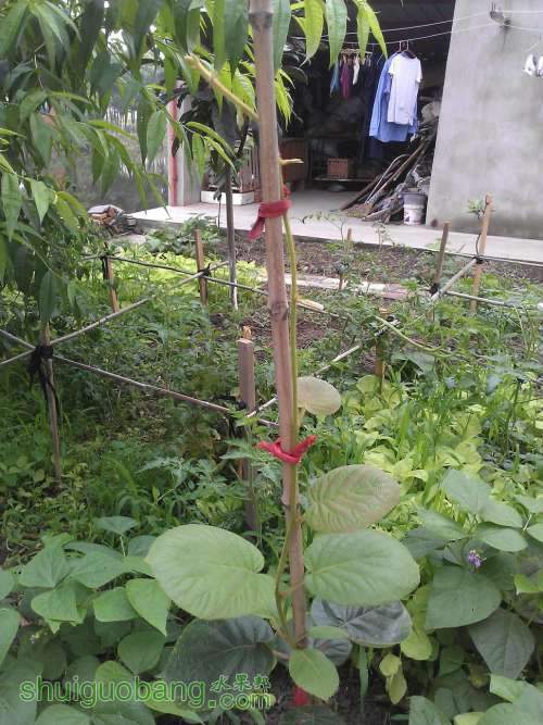 WP_001180.jpg