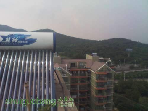 IMG_20130617_151338.jpg