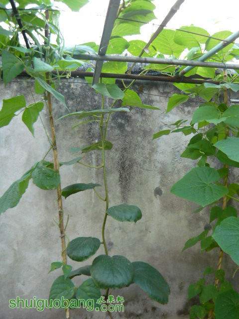 203211dn5rq40g0aiyai45.jpg
