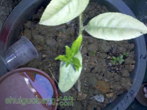 2013-06-17_18-08-49_283.jpg
