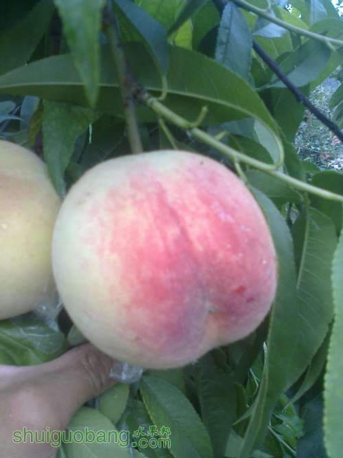 Ƭ0223.jpg