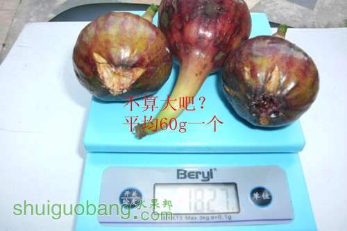 GEDC0059_����.jpg