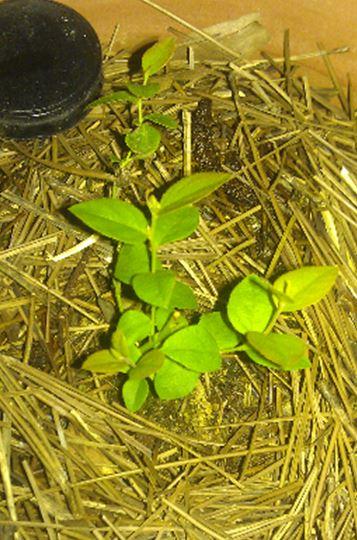 IMAG0120_mh001.jpg