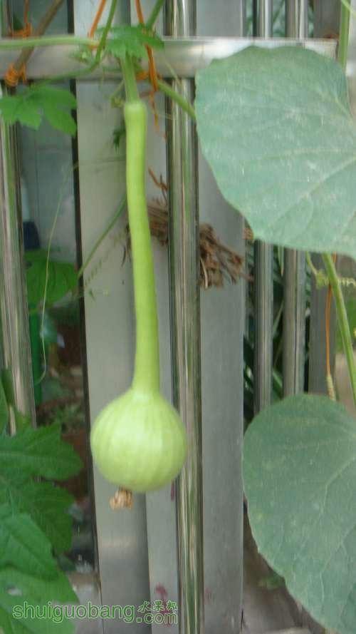 DSC03507.JPG