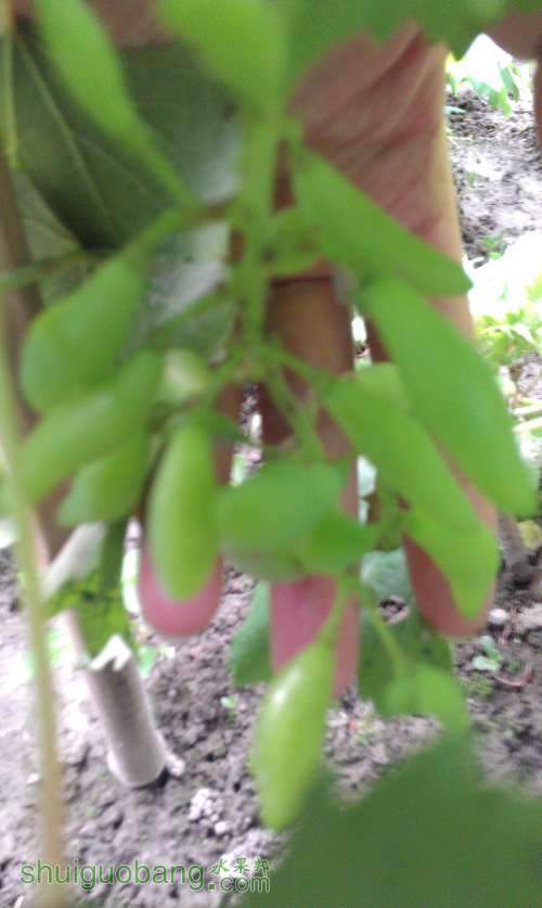 IMAG0615.jpg
