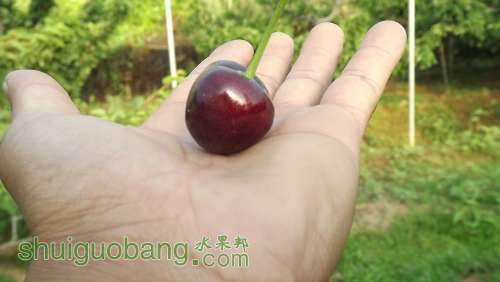 Ƭ 080.jpg