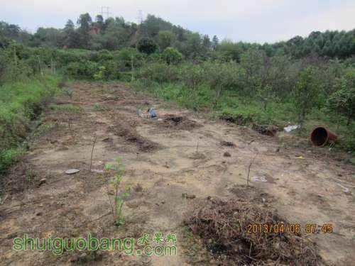 ������С ������С IMG_5358.JPG